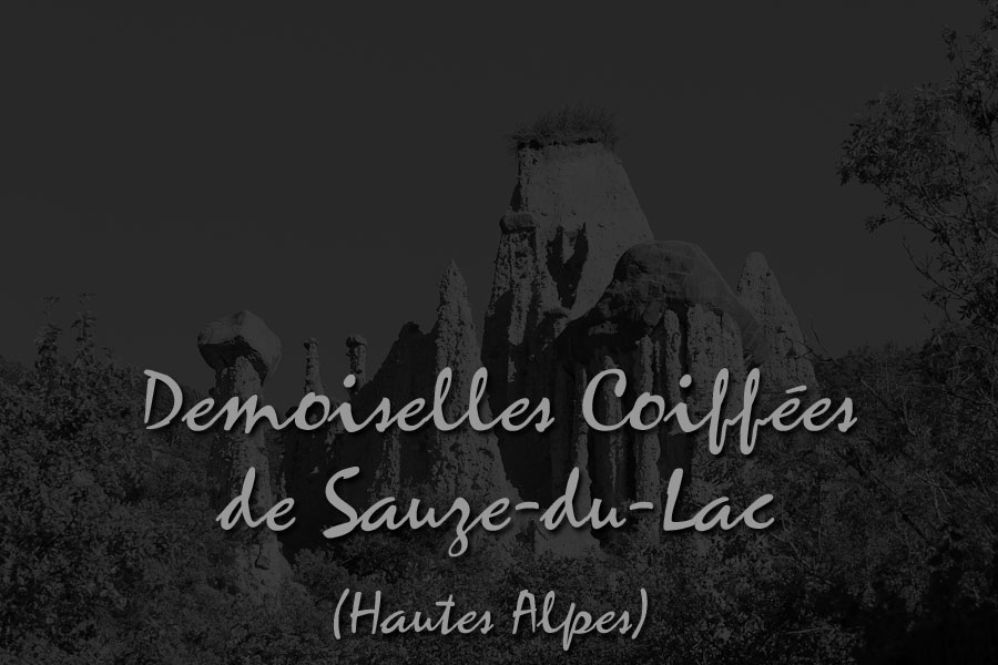 dc-00.jpg - Demoiselles Coiffées du Sauze-du-Lac (Hautes Alpes)