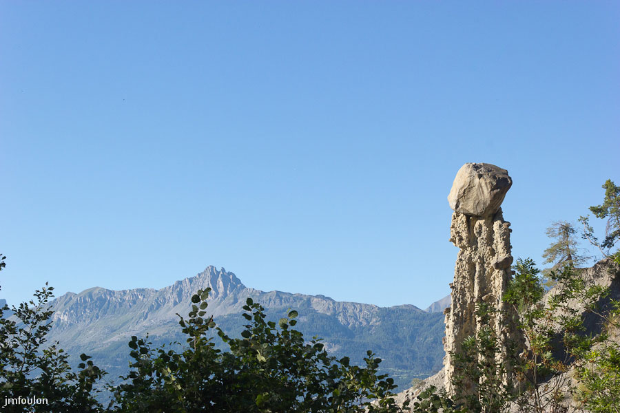 dc-06.jpg - Demoiselles Coiffées du Sauze-du-Lac (Hautes Alpes)