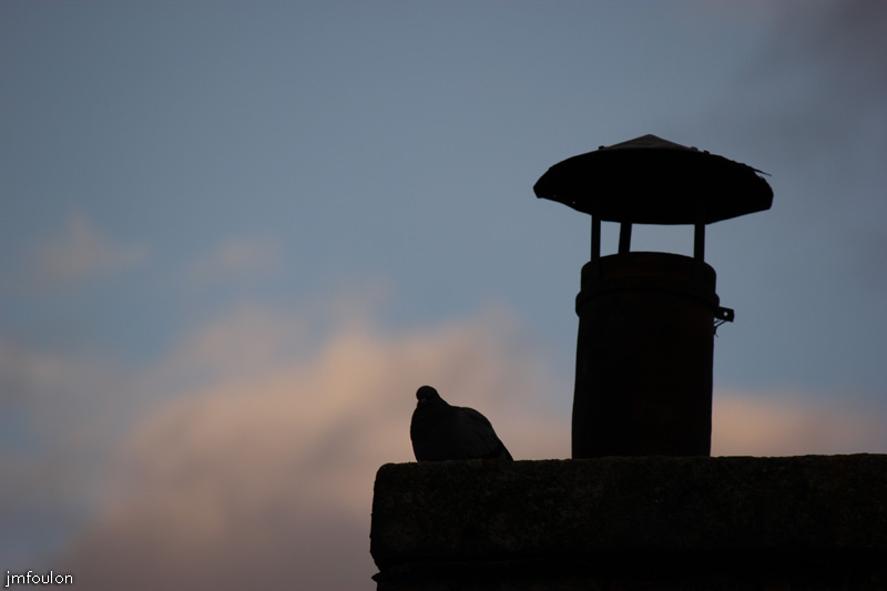 sisteron-cheminee-2web.jpg - Sisteron - Cheminée et pigeon peu avant le coucher du soleil depuis la fenêtre de ma chambre