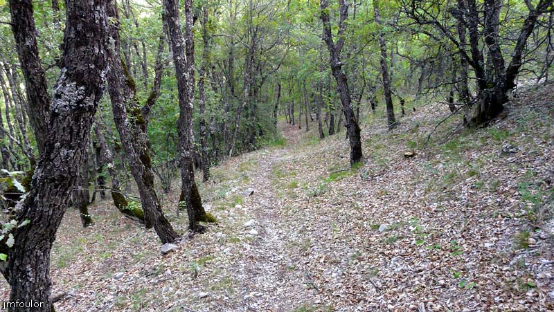 castellas-04web.jpg - On chemine ensuite en sous-bois sur environ 600 m. Le dénivelé est de 400 m pour un trajet de 2,5 Km environ jusqu'au Pas de Patègue