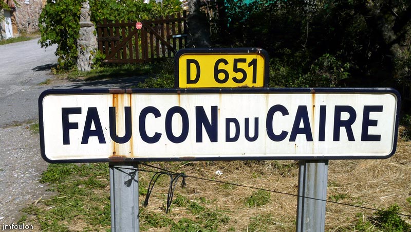 faucon-01web.jpg - Faucon-du-Caire (Alpes de Haute Provence)
