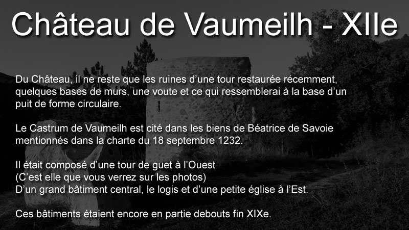 vaumeilh-chateau-00web.jpg - Vestiges du château de Vaumeilh