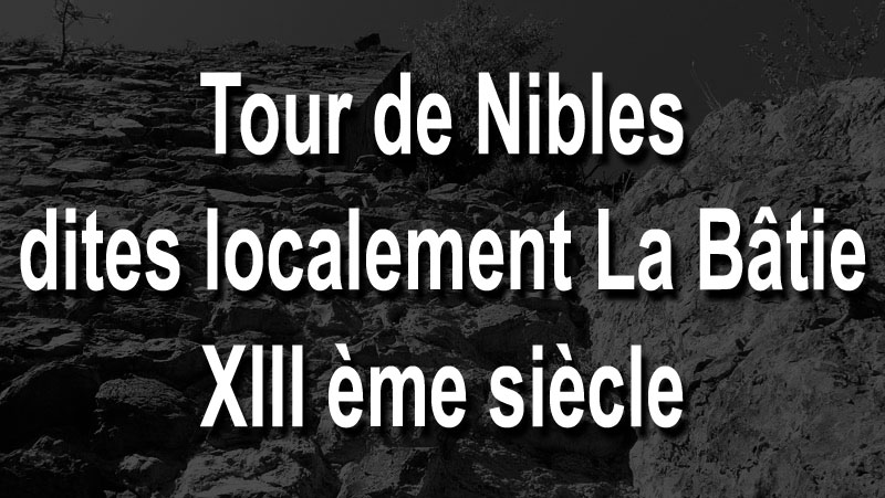 la-batie-00web.jpg - Tour de Nibles dites localement La Bâtie - XIIIe siècle