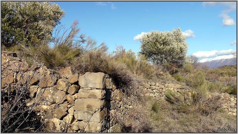 paresous-27web.jpg - Ruine d'un cabanon enchevêtré dans les murets (autre vue)