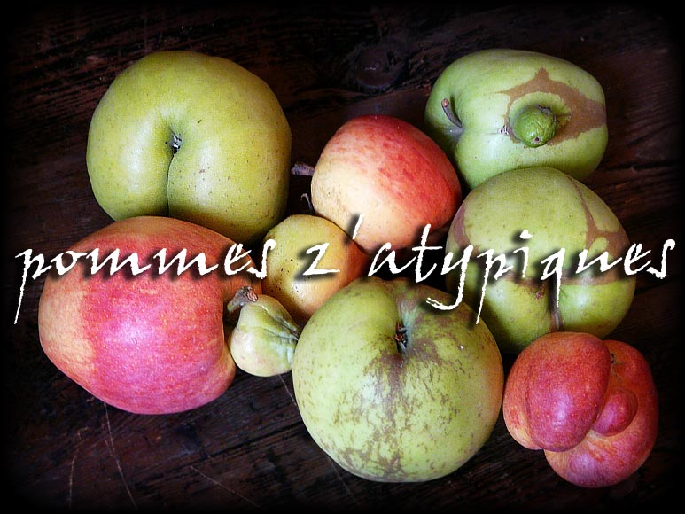 pomme-00.jpg - Pommes Z'atypiques (récolte 2011)