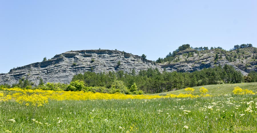 printemps-2013-cvsd-04web.jpg - Les Roubines (621 m) - Près d'Aubignosc dont le châteaufort  trônait  sur son extrémité Est. Il n'en reste rien aujourd'hui