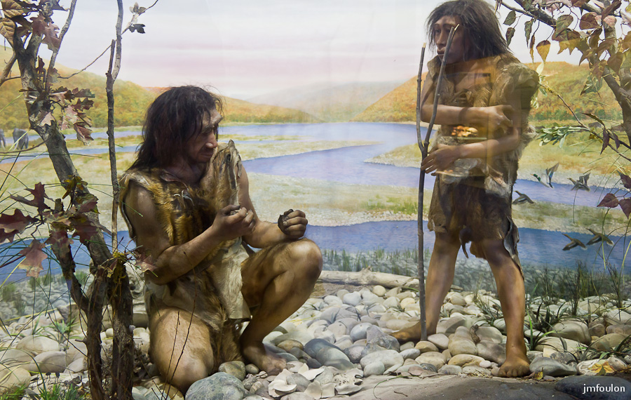 musee-025-2.jpg - Homo erectus ( -1 millions d'années)