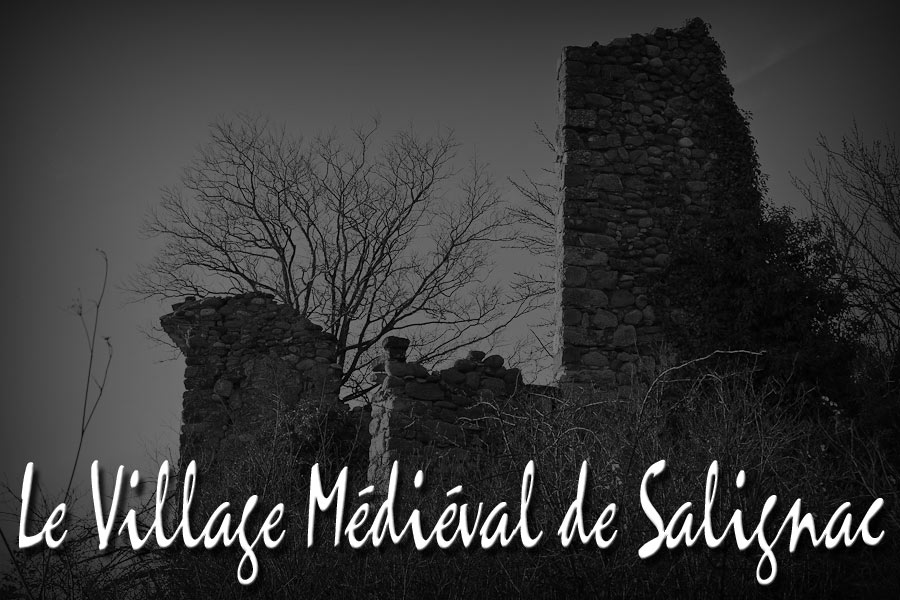 vx-salignac-000.jpg - Le village Médiéval de Salignac