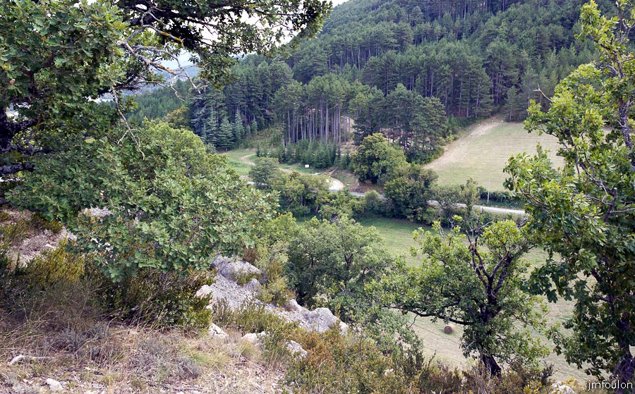 sisteron-collet-014.jpg - Sisteron - Le Collet - Les bois du Molard et le chemin de la  Marquise