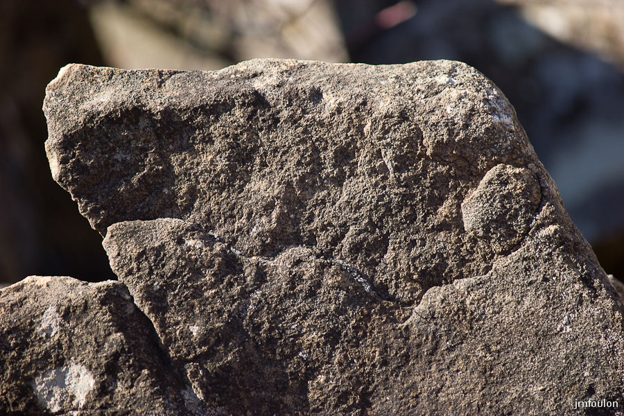 pierre-avon-017.jpg - Barre rocheuse de Pierre Avon (détail)