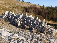 Crêtes de Lure - Octobre 2017  Les crêtes sont parsemées de pierres calcaires plates appelées lauzes. Ces avec ces pierres qu'étaient jadis construites les bergeries. Ici elles ont certainement été posées sur leur tranche par des randonneurs