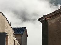 Photos en vrac ! ...  Une sorcière en ombre chinoise sur un mur, un pigeon sur un toit dans les brumes de la vieille ville de Sisteron. L'insolite n'est jamais bien loin lorsqu'on a les yeux ouverts !