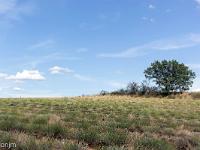 Les Romeyères  Beaucoup de champs de lavandes sur ce plateau