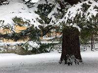 Sisteron sous la neige  Parc Massot-Devèze