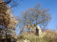 L'Escale - Vière ou Ville Vieille  Ruines du village