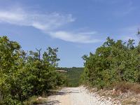 Le vieux Montsalier  Nous suivrons cette piste sur un peu plus de 2 km ...