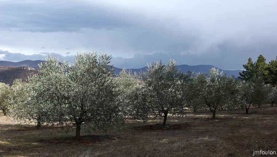 salignac-10web.jpg - Autre vue vers le Sud depuis l'oliveraie