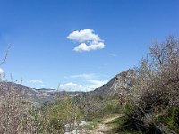 Sisteron : Collet - Virail - Marquise  Vue sur le sentier. Ce sentier est un ancien chemin médiéval qui menait vers Ribiers. On voit bien ici le mur de soutenement sur la gauche ...