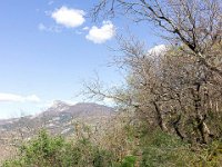 Sisteron : Collet - Virail - Marquise  Le sentier à l'approche de Champ Brancou ...