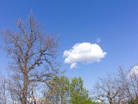 Sisteron : Collet - Virail - Marquise  Champ Brancou ...