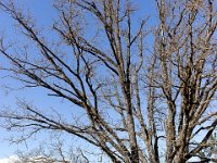 Sisteron : Collet - Virail - Marquise  Vue vers le Nord ...