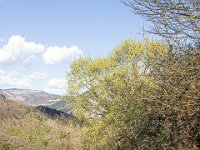 Sisteron : Collet - Virail - Marquise  Ce sentier que je vais empreinter en partie pour le retour et l'ancienne voix qui menait de Sisteron à Bevons ...