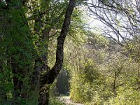 Sisteron : Collet - Virail - Marquise  Ce sentier que je vais empreinter en partie pour le retour et l'ancienne voix qui menait de Sisteron à Bevons ...