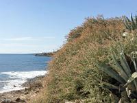 Méditerranée - Côte Bleue