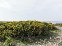 Méditerranée - Côte Bleue
