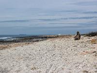 Méditerranée - Côte Bleue