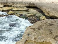 Méditerranée - Côte Bleue