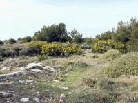 Méditerranée - Côte Bleue