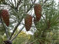 Méditerranée - Côte Bleue