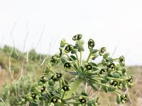 Méditerranée - Côte Bleue