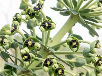 Méditerranée - Côte Bleue