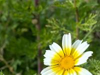 Méditerranée - Côte Bleue