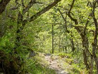 Gorges de la Méouge - Tour Pierre Grosse  Autre vue sur le sentier ...