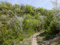 Gorges de la Méouge - Tour Pierre Grosse  Le sentier vers Pierre Grosse ...
