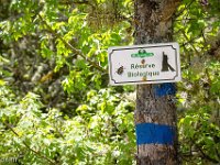 Gorges de la Méouge - Tour Pierre Grosse  Nous sommes à l'orée de la réserve biologique (Zone Natura 2000) ...