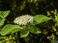 Gorges de la Méouge - Tour Pierre Grosse  Le printemps est bien la ! ...