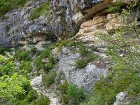 Méouge - 26/04/2026  Le sentier (sens inverse de la marche) ...