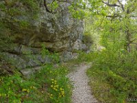 Méouge - 26/04/2026  Le sentier ...