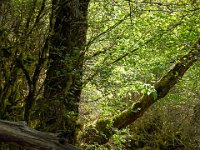 Méouge - 26/04/2026  Le sentier ...