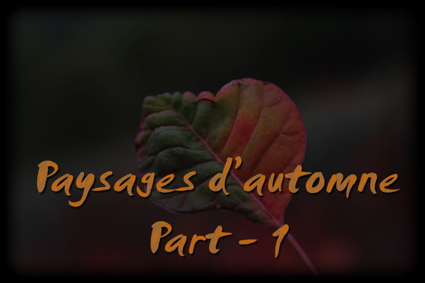 escale-lac-00web.jpg - Paysages d'automne Part 1 :  Le lac de Château-Arnoux à l'Escale