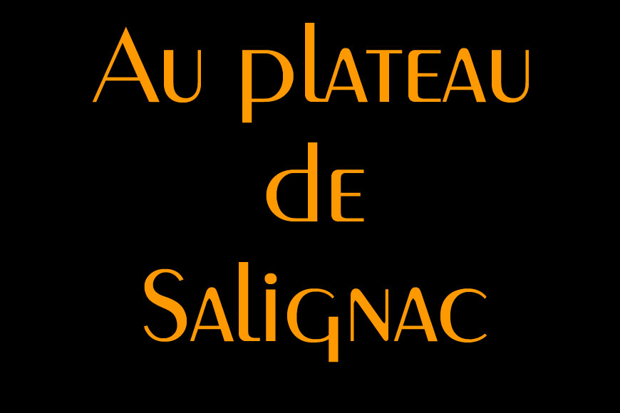 plateau-salignac-00web.jpg - Au plateau de Salignac