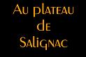 plateau-salignac-00web