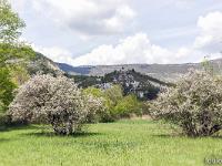 Barret sur Méouge - Hautes Alpes  Début mai 2022 - Le printemps ! Au loin sur sa butte, au centre la chapelle ruinée des Pénitents