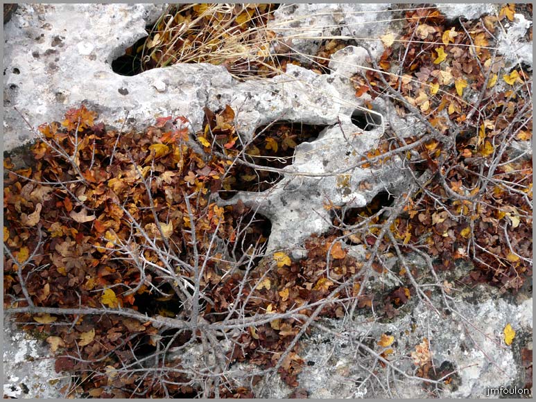 gache-lapiaz-3web.jpg - Lapiaz ( autre vue )