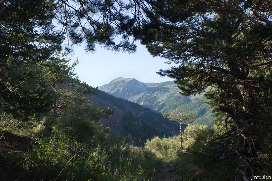esparron-monges-023web.jpg - Les Monges (2115 m) Costebelle (2106 m) et le Crête du Raus (1832 m). A gauche l'adret de la Crête de la Pinée