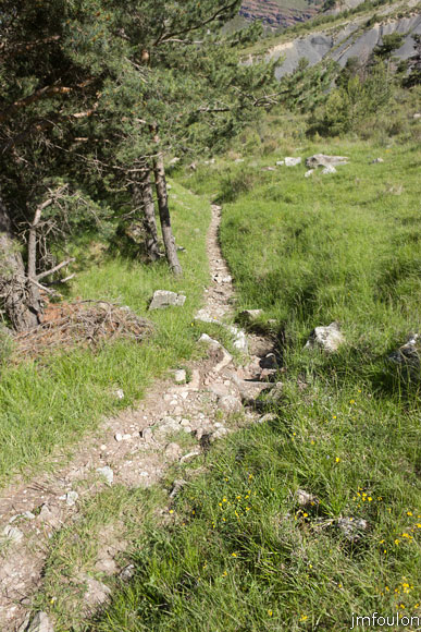 esparron-monges-056web.jpg - Le sentier (vue à contresens de la marche)